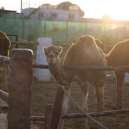 La Granja Pensionat Tétouan Eksteriør billede